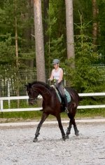 IMG_8851.jpeg