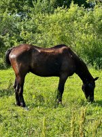 IMG_1636.jpeg