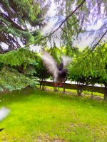 IMG_20250704_124235_159.jpg