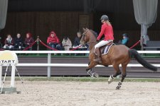 IMG_0184.jpg