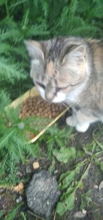 IMG_20250701_195241.jpg