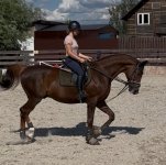 IMG_3086.jpeg