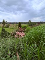 IMG_6898.jpeg