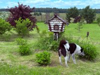 IMG_6758.jpeg