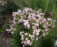 IMG_6724.jpeg