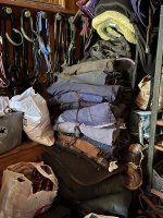 IMG_3186.jpeg