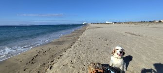 IMG_20250708_085545.jpg