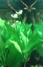 2013-01-18 13.07.17.jpg