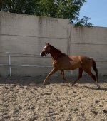 IMG_4534.jpeg