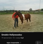 IMG_20250710_082227.jpg