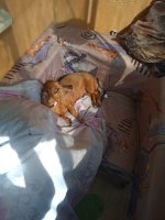 IMG_20250710_093432_1.jpg