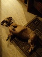 IMG_20250710_103212.jpg