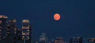 IMG_20250709_220127.jpg
