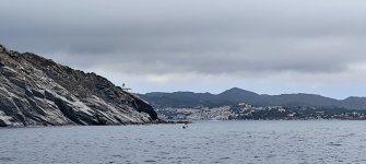 IMG_20250711_154614.jpg