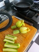 IMG_4865.jpeg