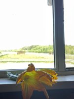 IMG_4850.jpeg