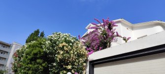 IMG_20250711_100537.jpg