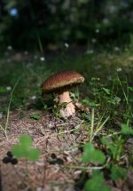 IMG_1872.jpeg