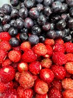 IMG_1783.jpeg