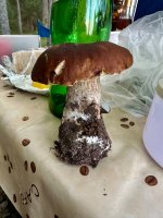 IMG_1736.jpeg