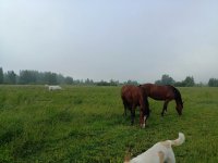 dqiptNA05ydC-3iSrwR1y4PJmOgfj9Itjd9tGwxMWpbBgpA7Q7YBXo12KCRBXftMmbqDggceGyac7y6_eGMPLfVj.jpg
