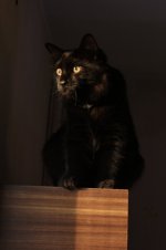 IMG_0557.JPG