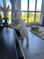 IMG_9947.jpeg