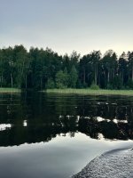 IMG_1814.jpeg