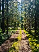 IMG_1786.jpeg