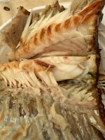 IMG_1784.jpeg
