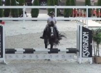 IMG_3461.jpeg
