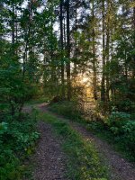 IMG_1850.jpeg