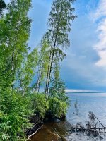 IMG_1765.jpeg
