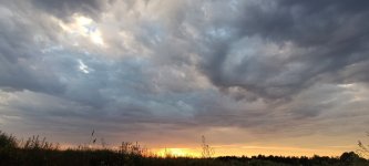 IMG_20250711_204823.jpg