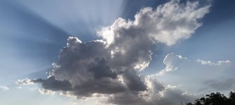 IMG_20250713_112906.jpg