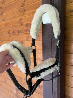 IMG_3188.jpeg