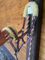 IMG_3192.jpeg