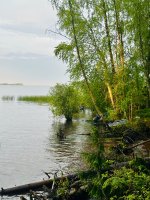 IMG_1771.jpeg