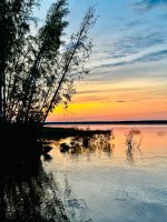 IMG_1743.jpeg