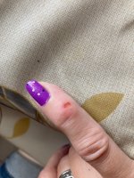 IMG_0587.jpeg