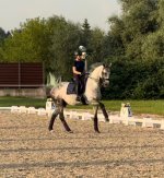 IMG_3771.jpeg