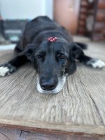 IMG_2053.jpeg