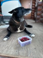 IMG_2050.jpeg