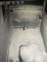 IMG_5231.jpeg