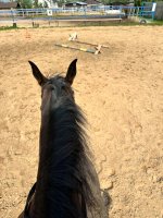 IMG_2086.jpeg