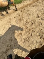 IMG_2087.jpeg