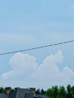 IMG_2095.jpeg