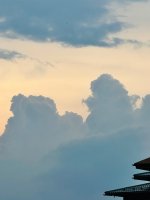 IMG_2094.jpeg
