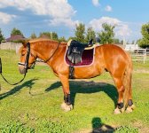 IMG_1850.jpeg