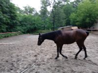 IMG_20250721_180953.jpg